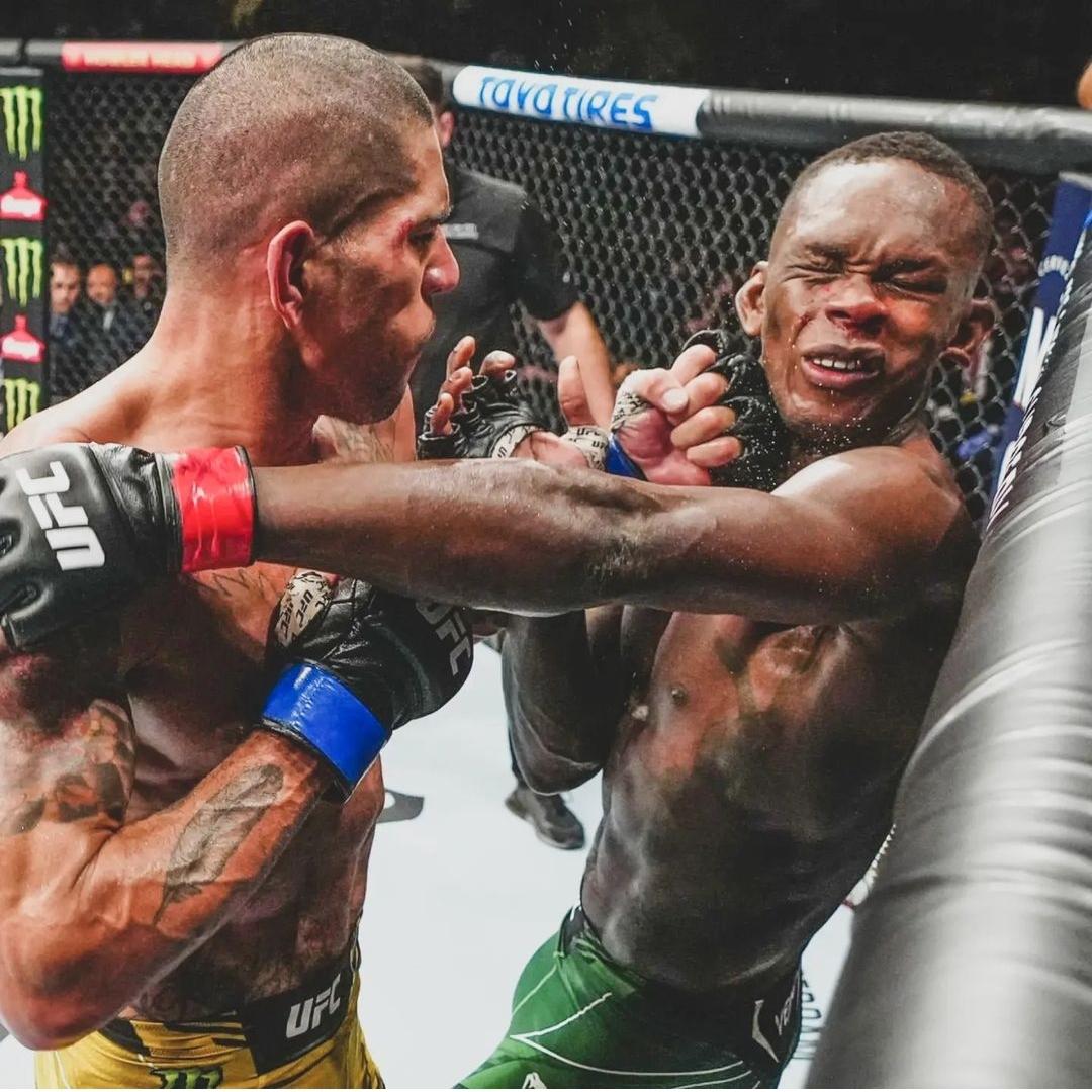 服！德约科维奇一站比赛奖金能买上海豪宅，吸金能力远超UFC冠军