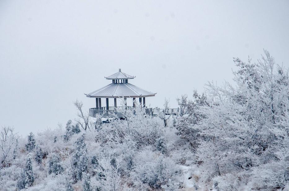 郑州元旦跨年去哪里好,郑州元旦跨年适合去的地方
