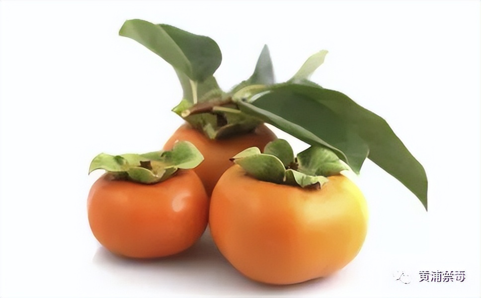 健康小常识咳嗽的治疗方法,健康小贴士吃零食