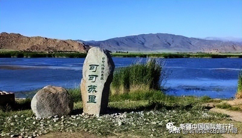 家庭出游7座车,家庭旅游8座车