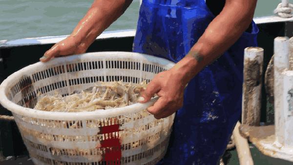 住进风景里旅游民宿度假,嵛山岛旅游民宿