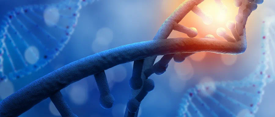 病理检查一般是什么检查,胚胎病理检查是查什么