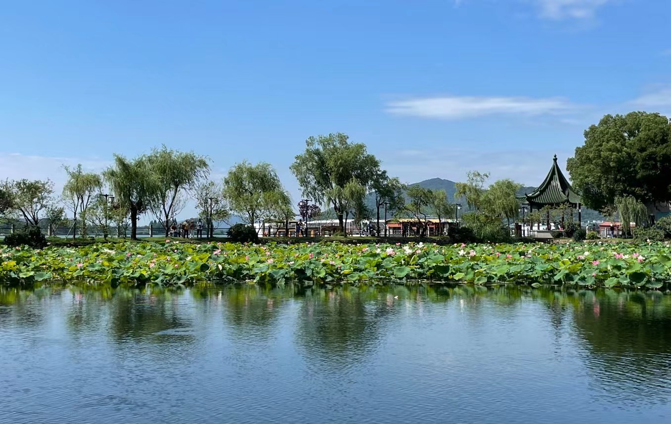 南方四季中小型睡莲,国家植物园睡莲