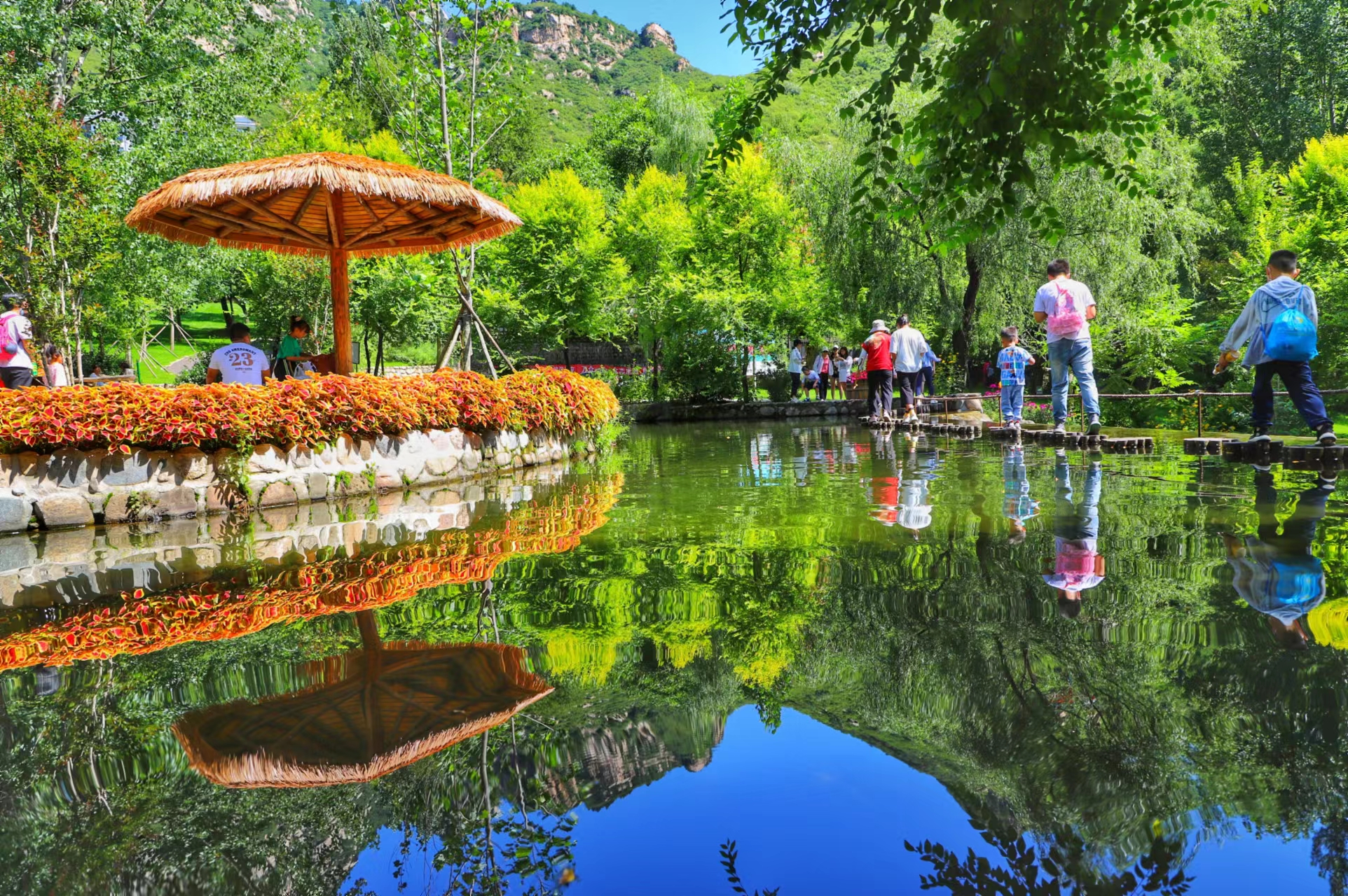 漫山花溪谷的美,花溪民宿漫山花溪谷