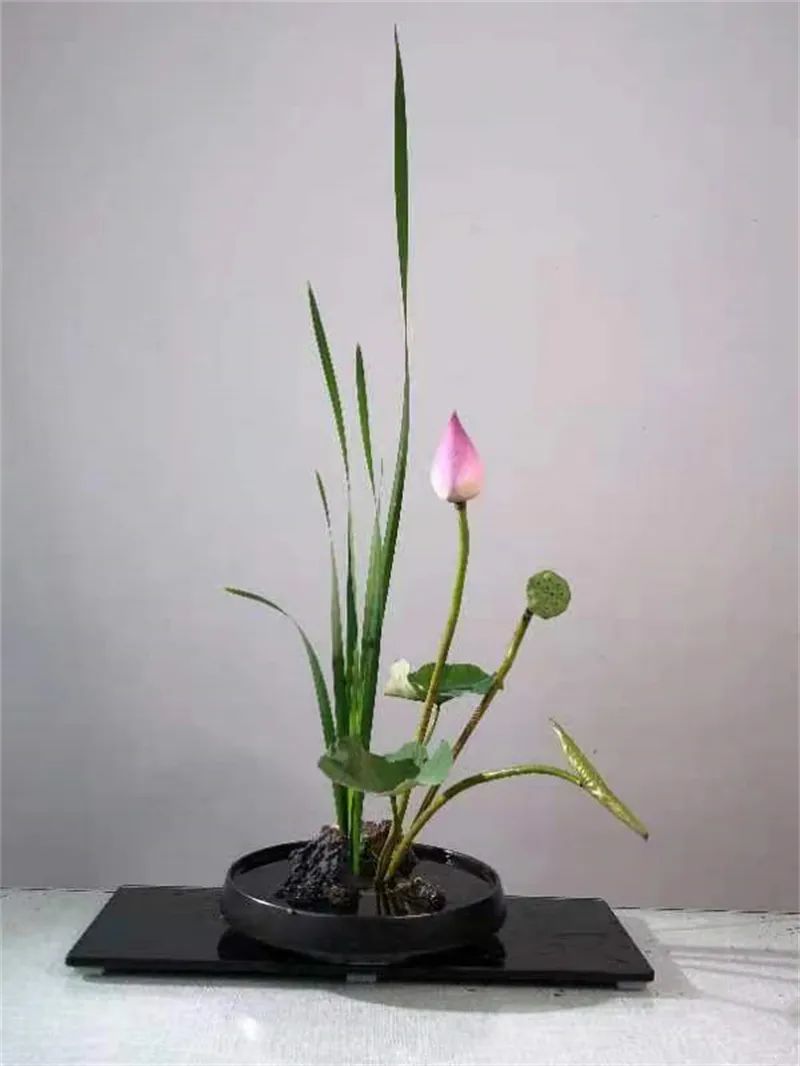 日本顶级禅意插花荷花,日式荷花插花