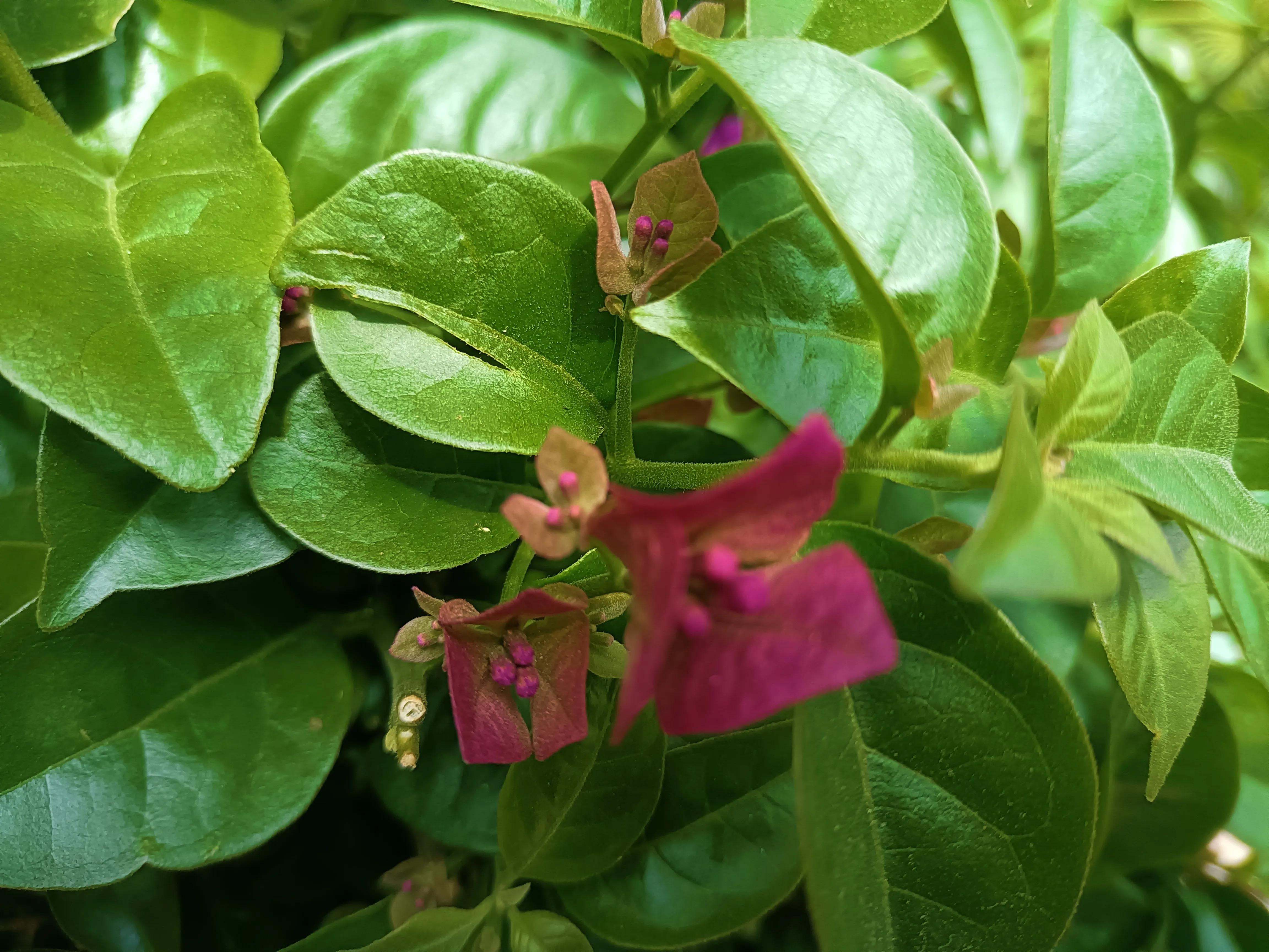 在北海买房养老到底划不划算,北海买房养老值不值