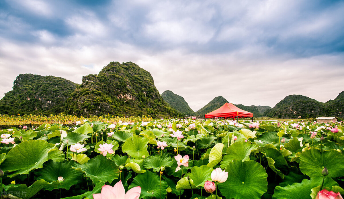 佛山出发广西五日四夜旅游攻略,广州出发云南4天自由行攻略