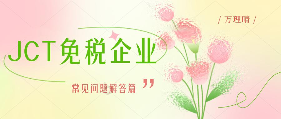 日本jct注册后如何申报交税,日本jct申报交税