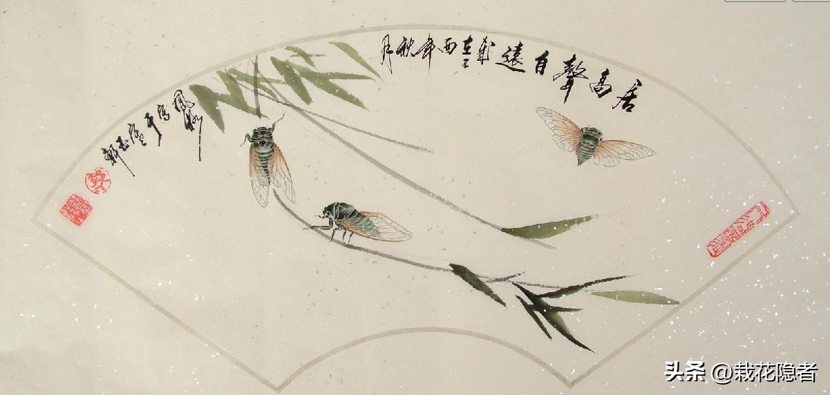 夏至之日话新蝉,杜牧写早蝉的诗,真是方家手笔,不负盛名