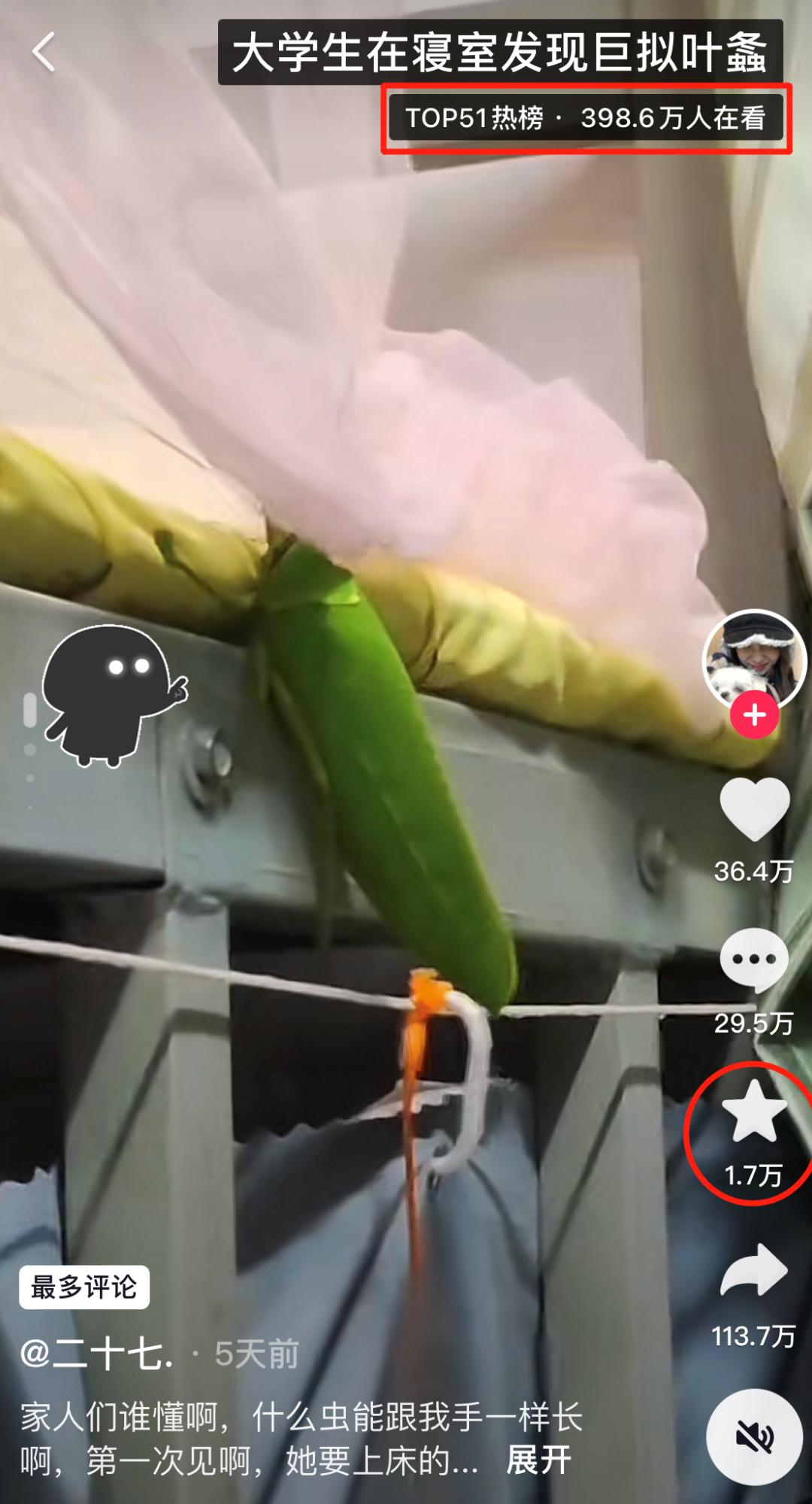 学校突然出现诡异的虫子,女生宿舍惊现不明虫