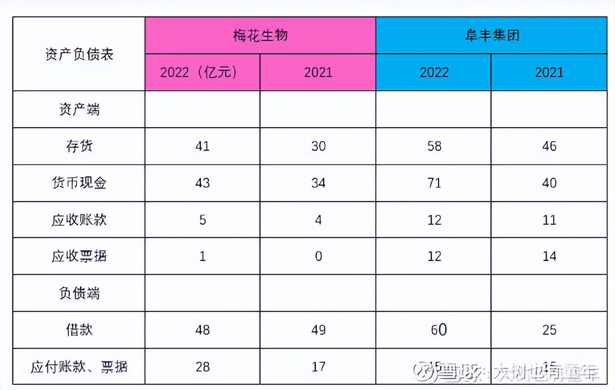 【企业分析】梅花VS阜丰（上）2022财务数据篇