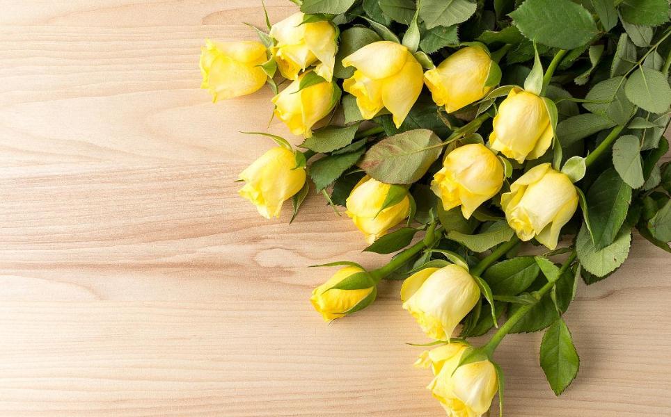 玫瑰花送人颜色有什么讲究,黄玫瑰可不能乱送人