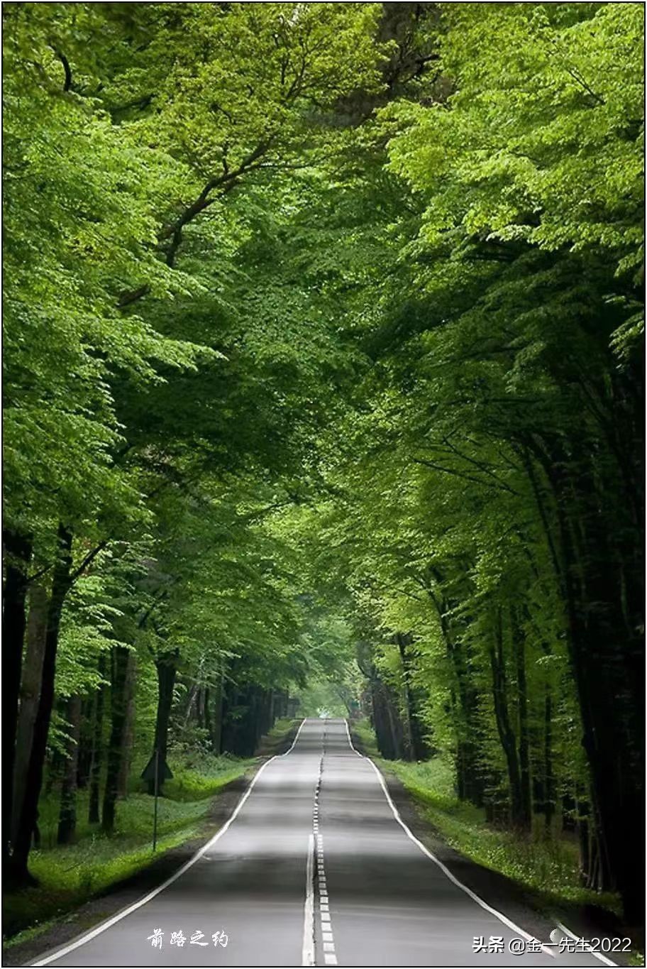 什么是债务危机,什么是金融危机怎么解决