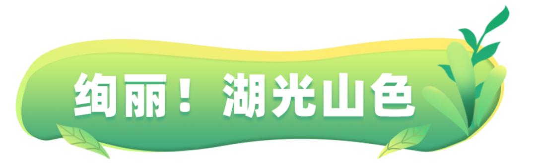 云台山深处自然美,云台山的风景真的很美