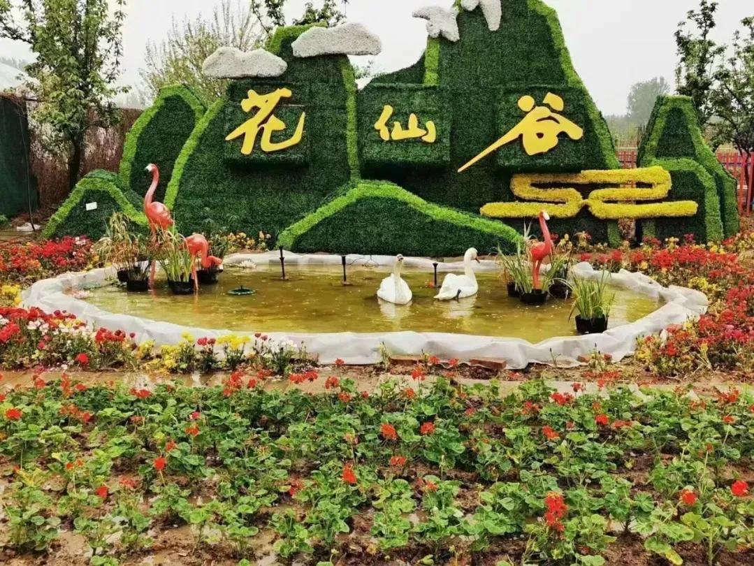 在东营五一假期应该去哪玩,东营人五一旅游攻略自由行