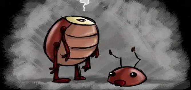 经常使用蟑螂贴能完全消灭蟑螂吗,蟑螂怎么正确消灭最彻底