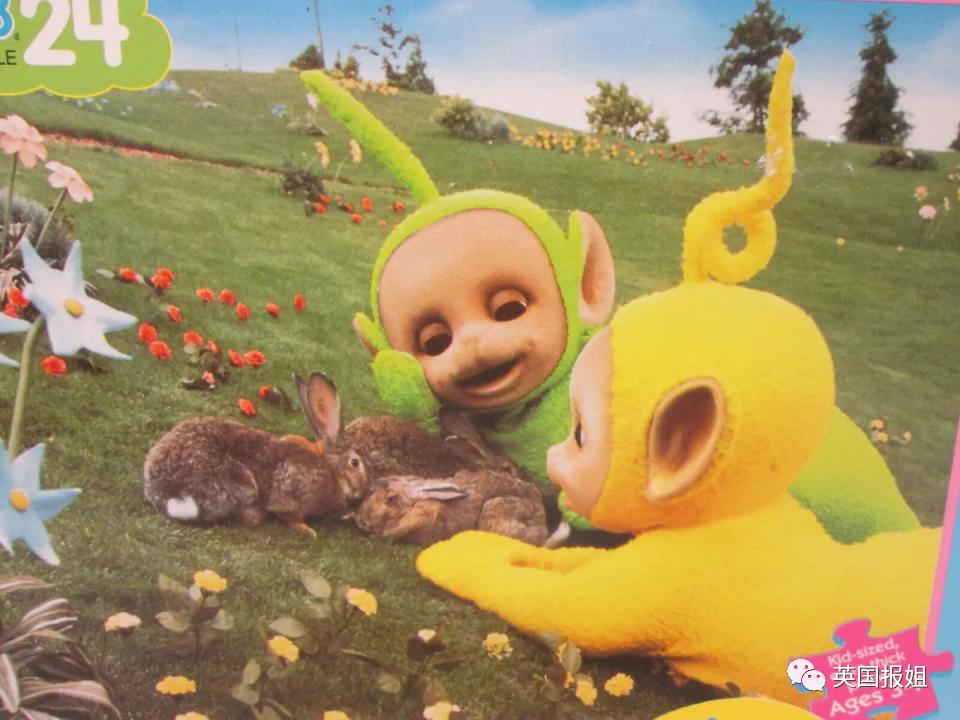 你知道世界上最大的兔子有多大吗,世界上最大的兔子吉尼斯纪录