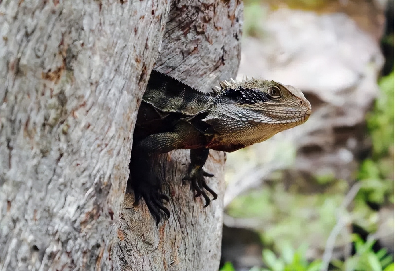 极端减肥引发暴食症怎么治疗,因为减肥患上了焦虑症