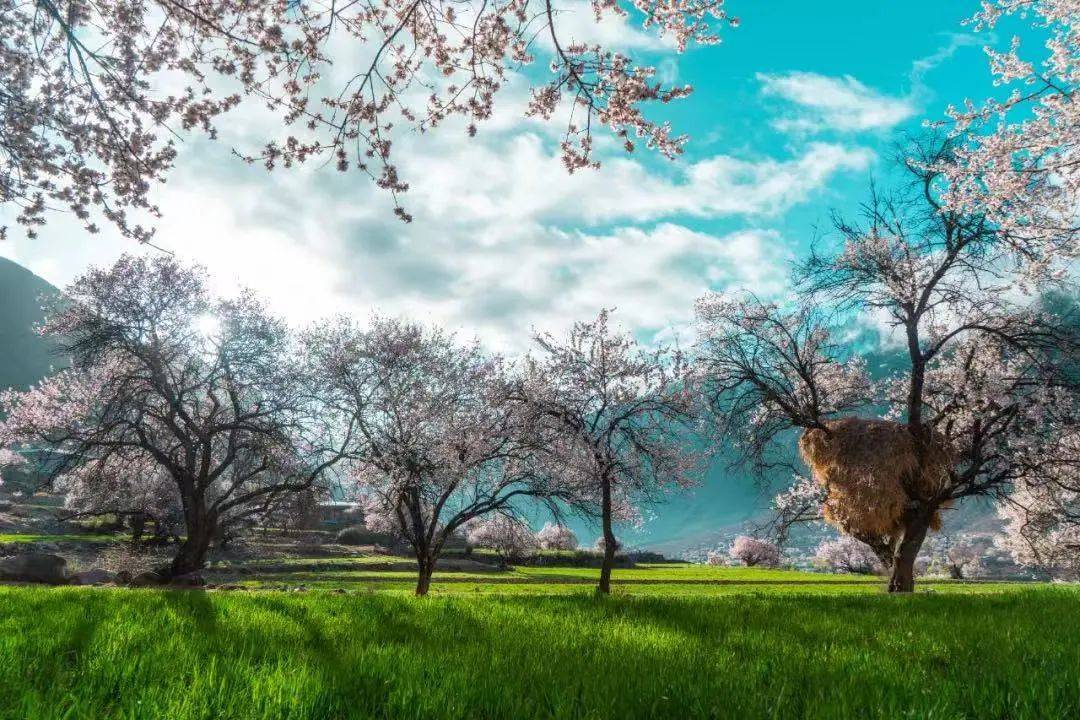 雪山下的某个小镇,雪山下的梦幻球场