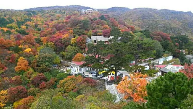妙峰山赏秋攻略,北京赏秋景沿途路线