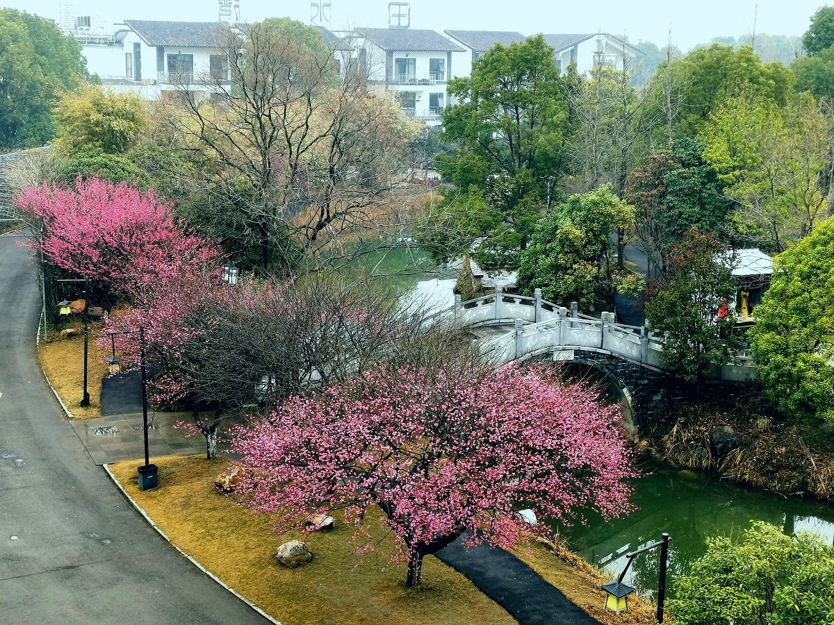 姥姥不疼舅舅不爱的心情,姥姥不疼舅舅不爱小舅子完整视频