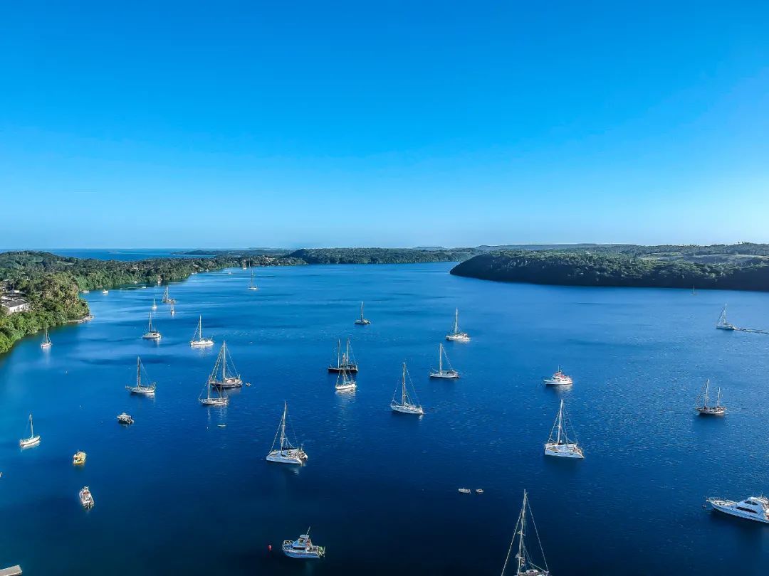 汤加火山喷发引发海啸死了多少人,汤加火山喷发海啸最新的消息