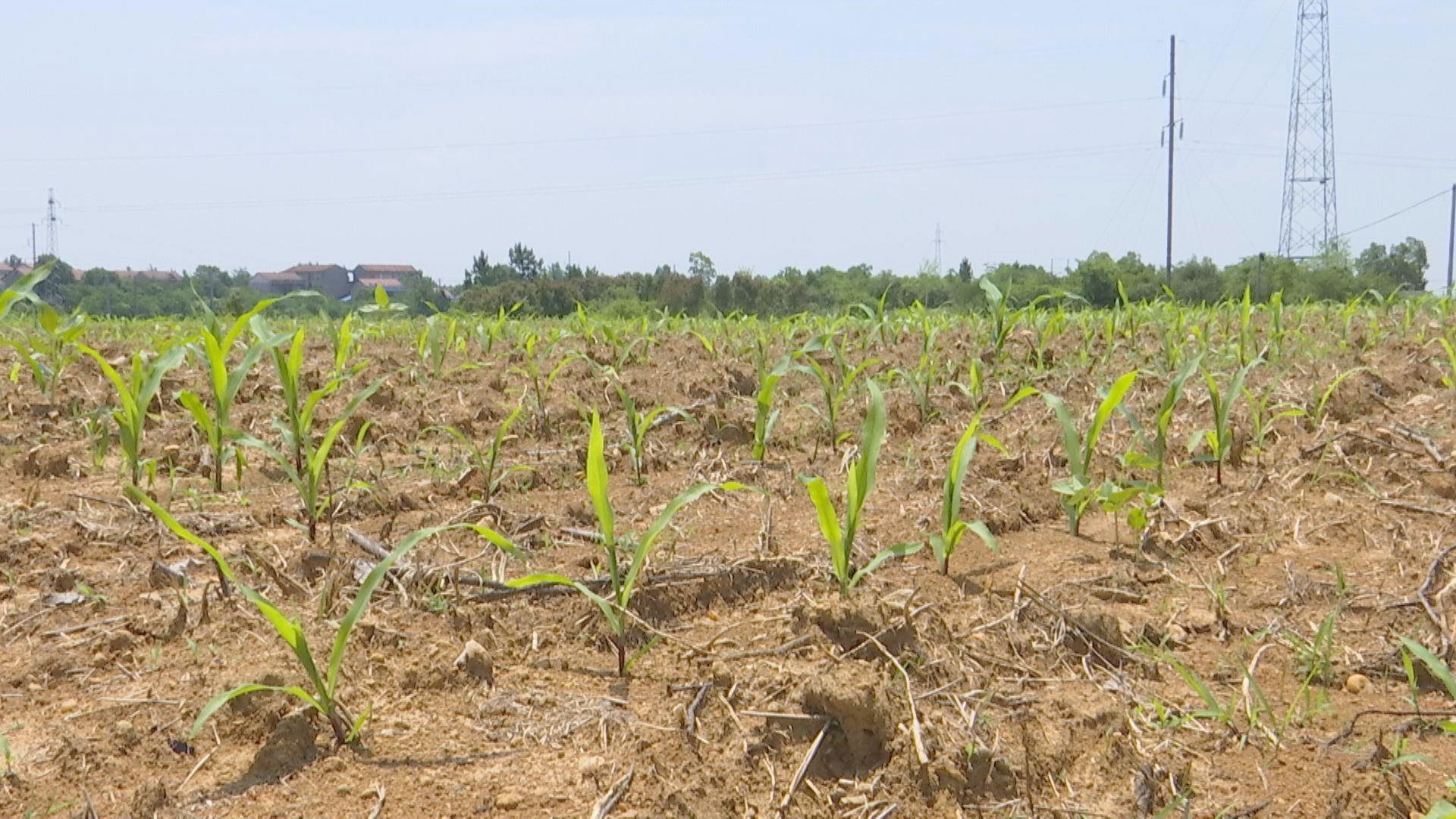 盘活闲置农房推进乡村振兴,盘活土地资源助推乡村振兴