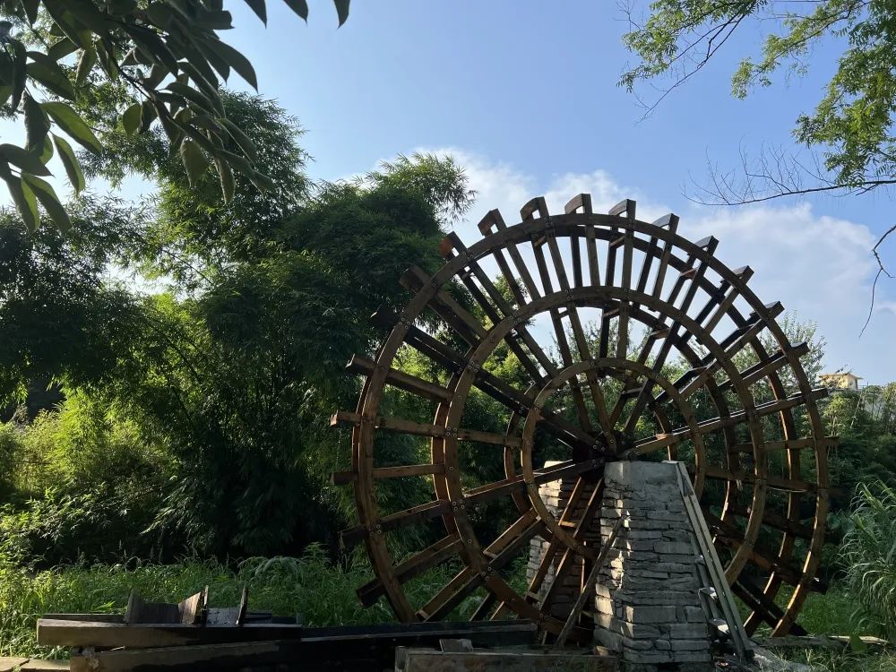 返乡创业！85后女创客盘活乡村资源，打造“量身定制”网红店