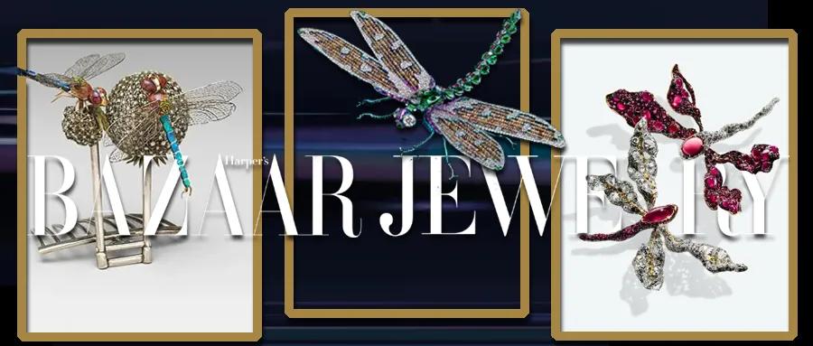 东西方大师都爱“小蜻蜓”，背后到底有什么大秘密？