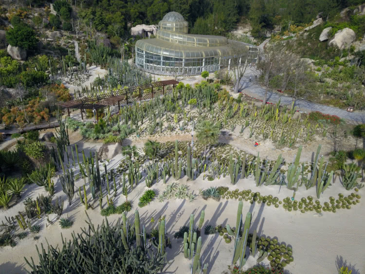 赏城中美景，品厦门味道。城市中心C位酒店，毗邻植物园、中山路