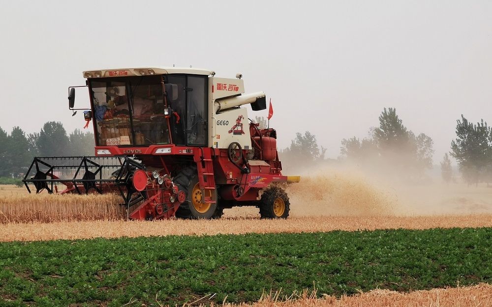 水稻种植大量排放温室气体,水稻释放甲烷
