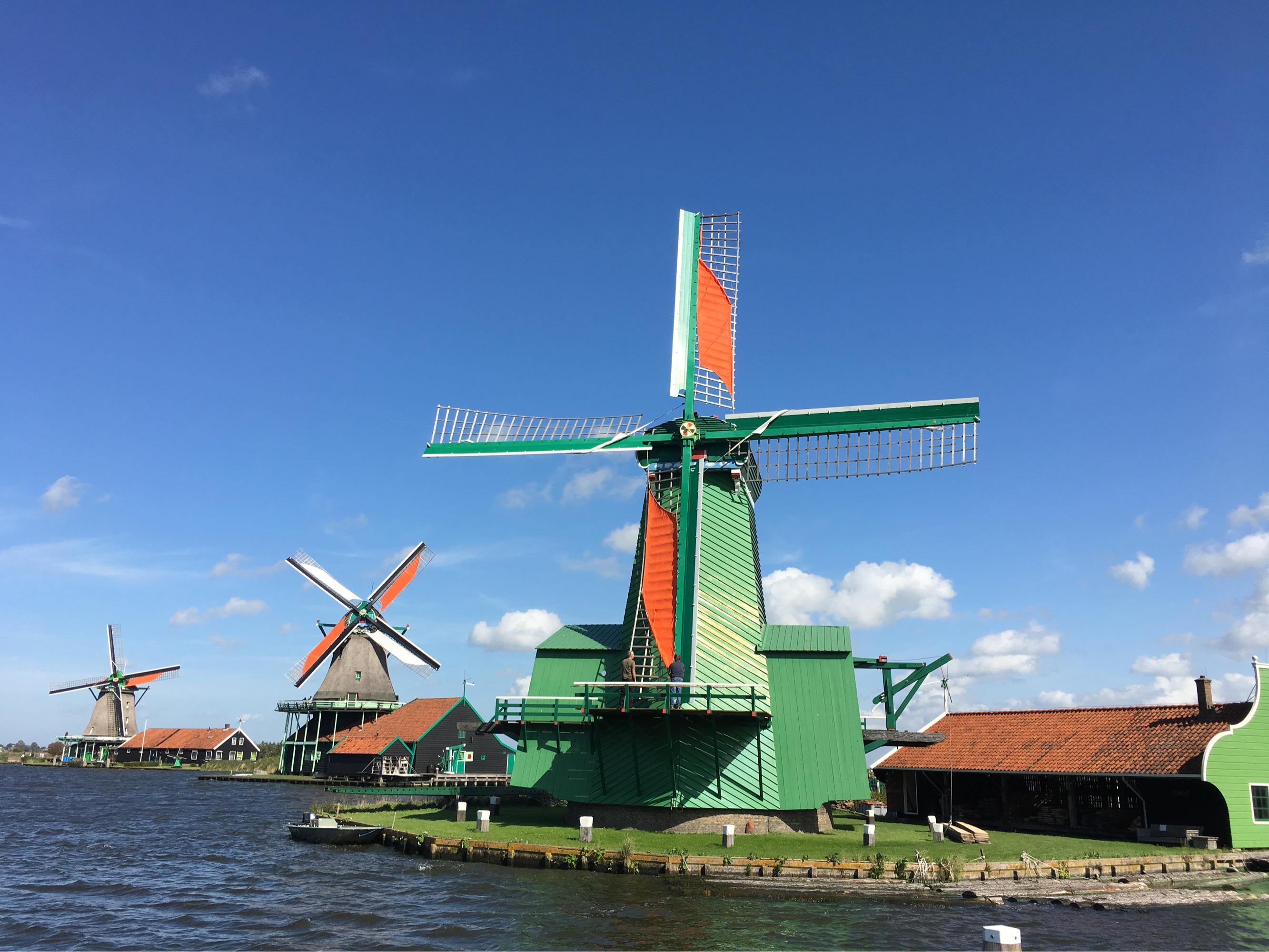 荷兰为什么有那么多风车,为什么荷兰有大风车