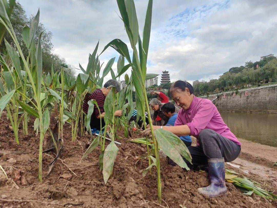 农民用地下水浇地违法吗,抽地下水灌溉农田违法吗