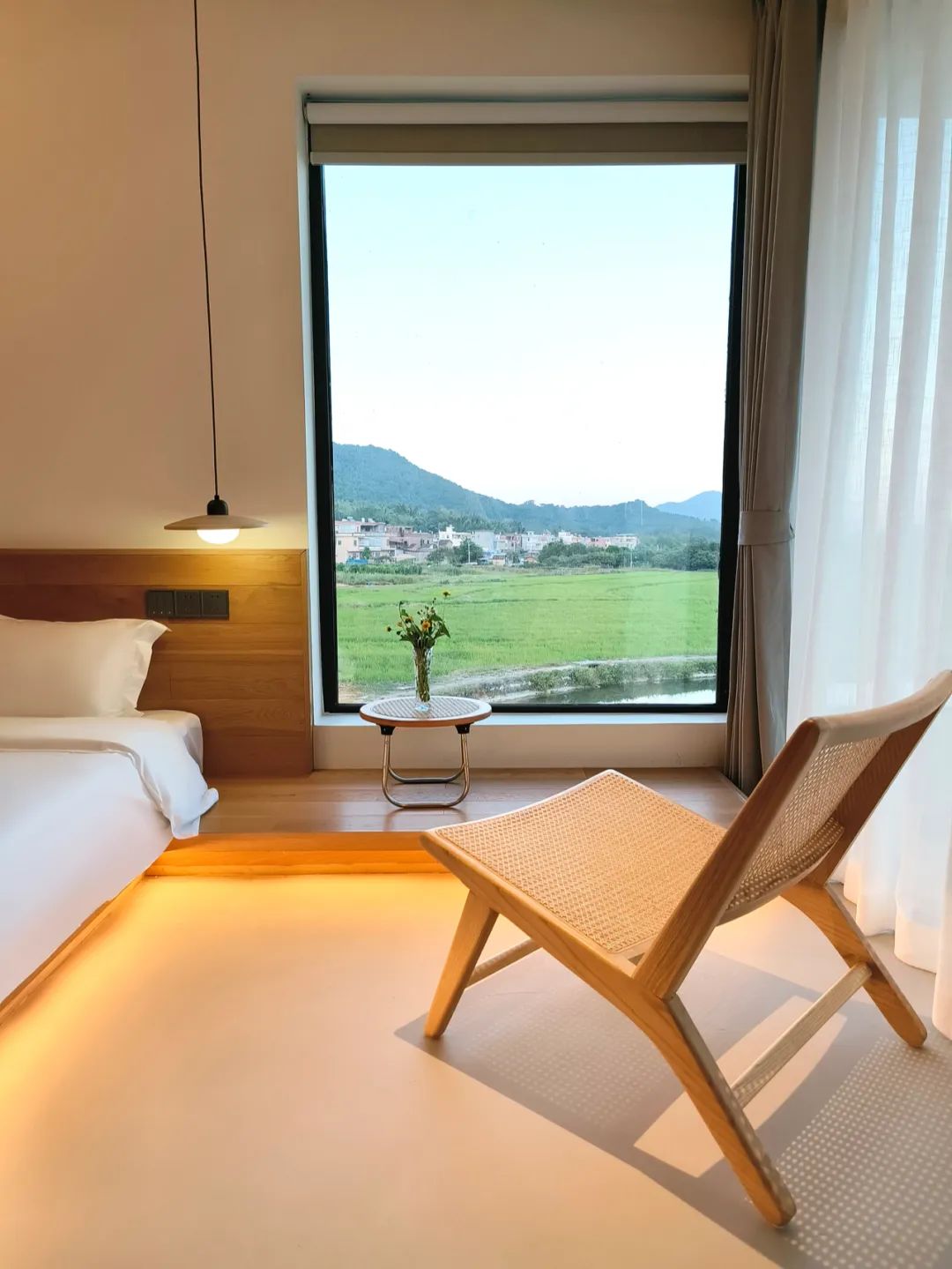 藏在广州竹林山野间的网红民宿,增城宛若故里稻田民宿