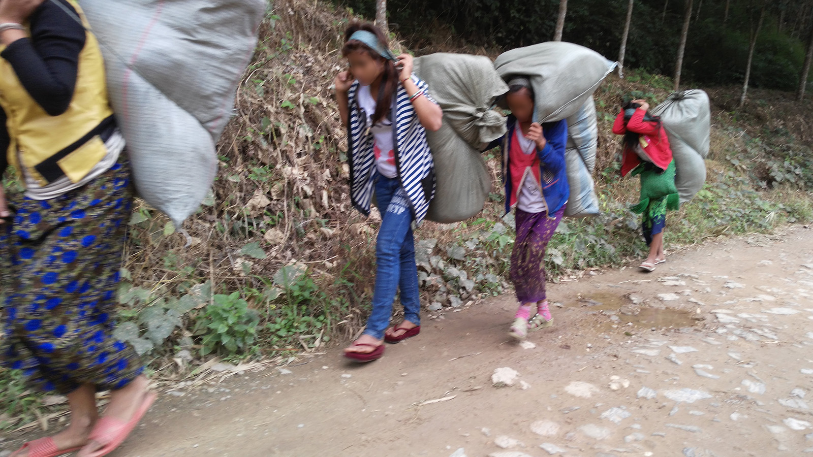 初哥视频,初哥延边烧烤