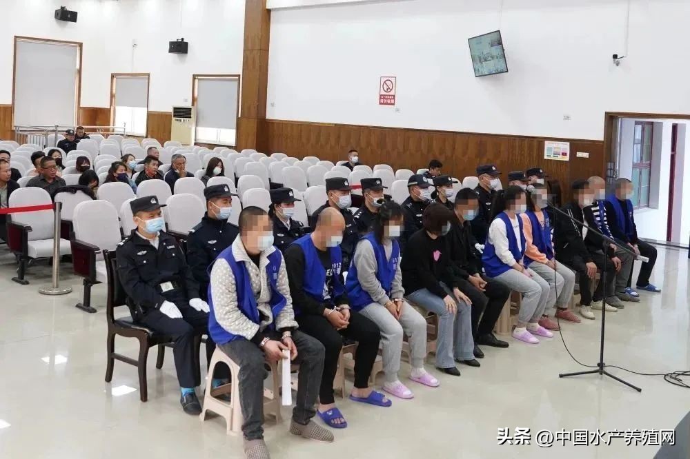 养殖业骗局真实案例,养殖业骗局有哪些案例