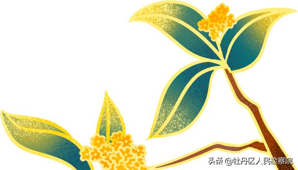 张飞是怎么开始绣花的,历史上的张飞真的会刺绣吗