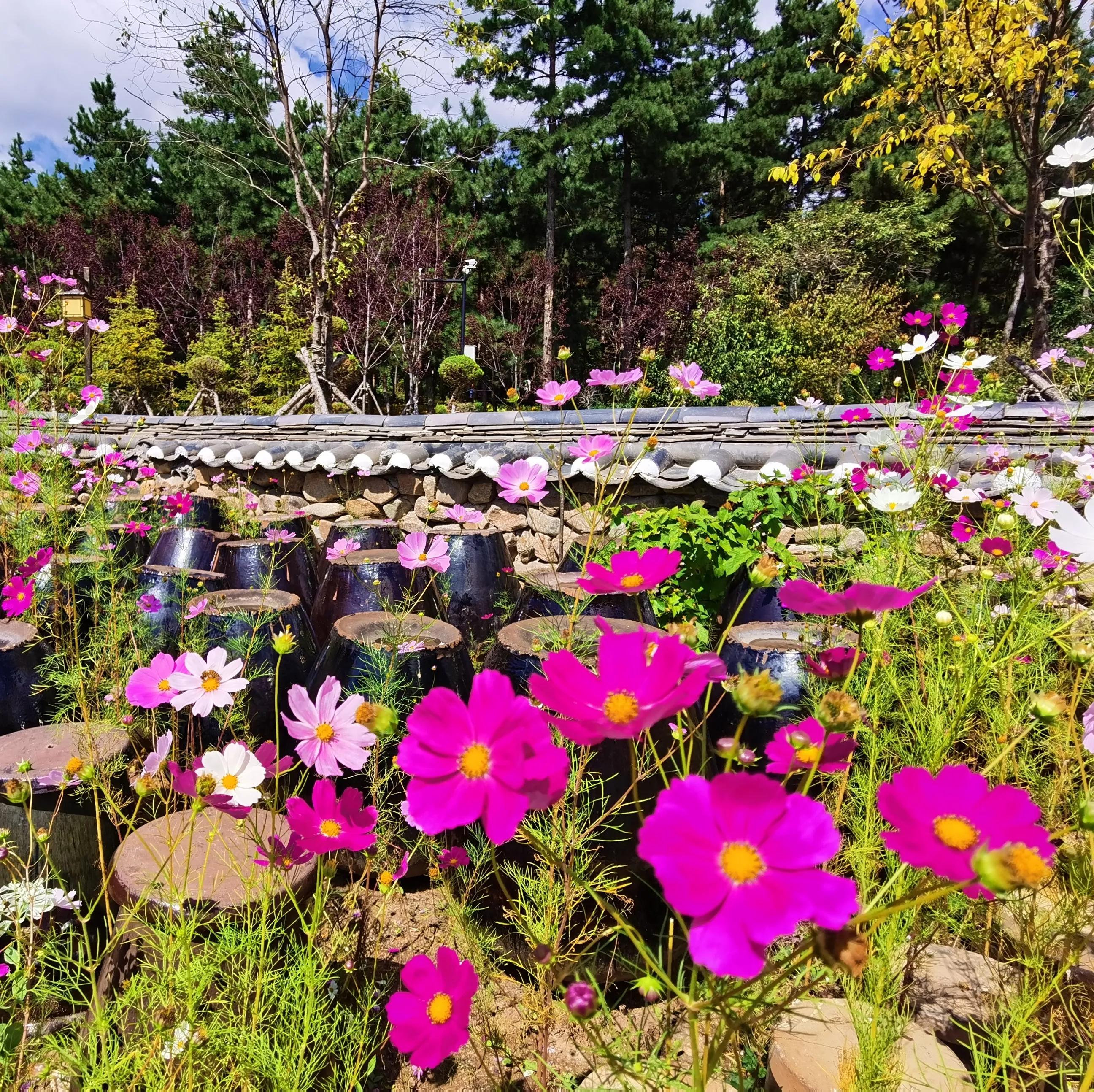 延边发展空间,延边放飞梦想
