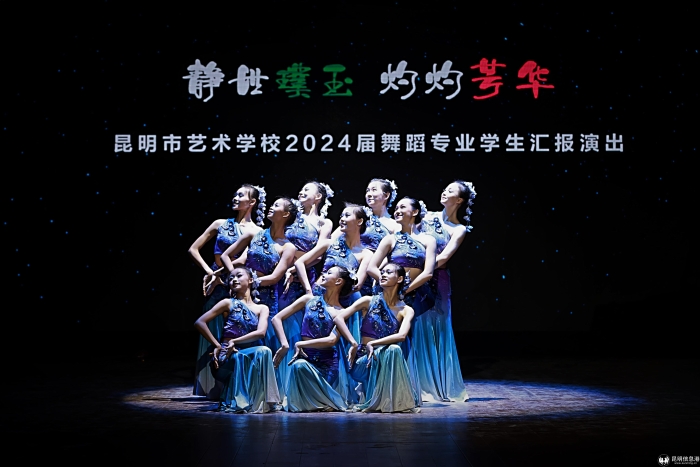 灼灼璞玉静世芳华的解释,与灼灼璞玉静世芳华相似的句子