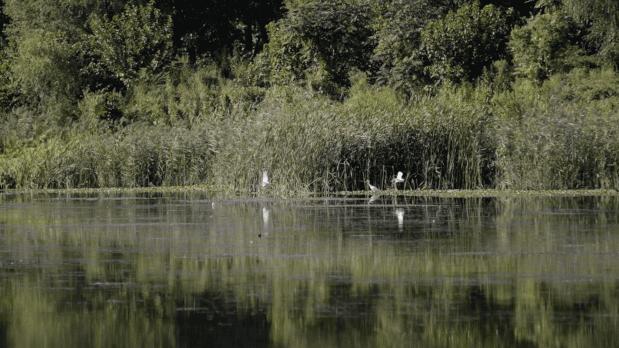 湖北夫妻造房子,湖北夫妻两万造房