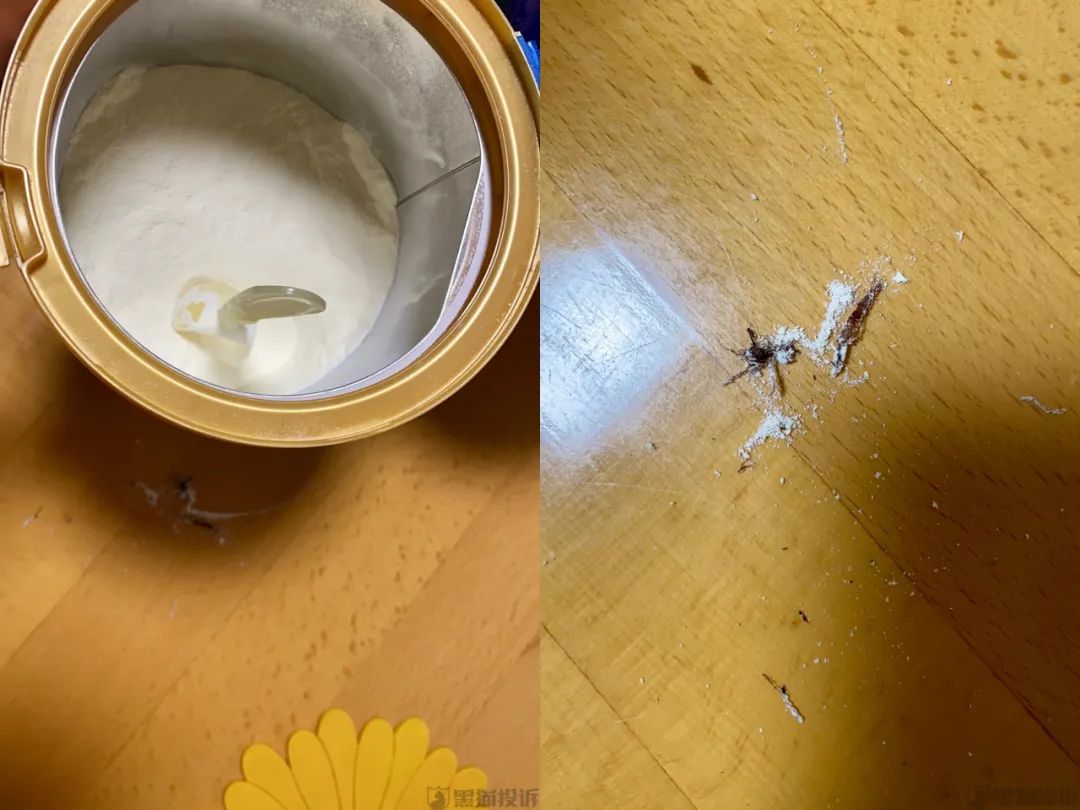 谁在说谎?爱他美婴儿奶粉生虫真相