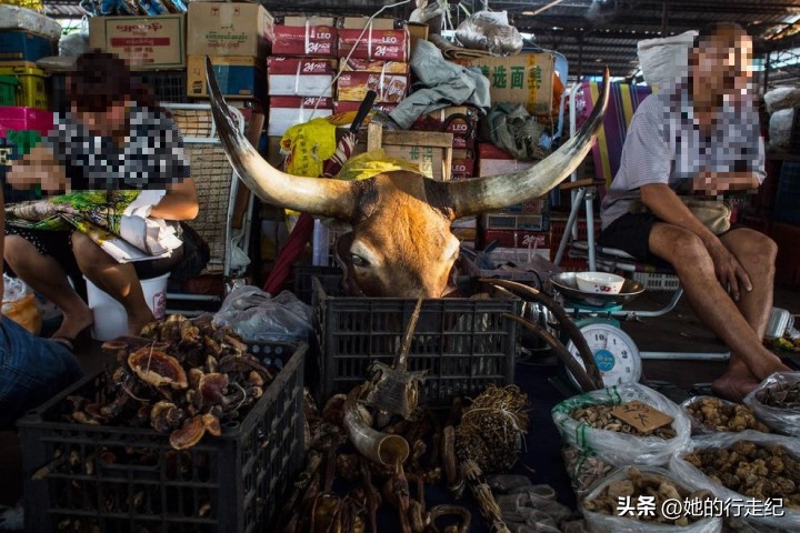 小勐拉到金三角有多远,从缅甸小勐拉走国门回去的流程