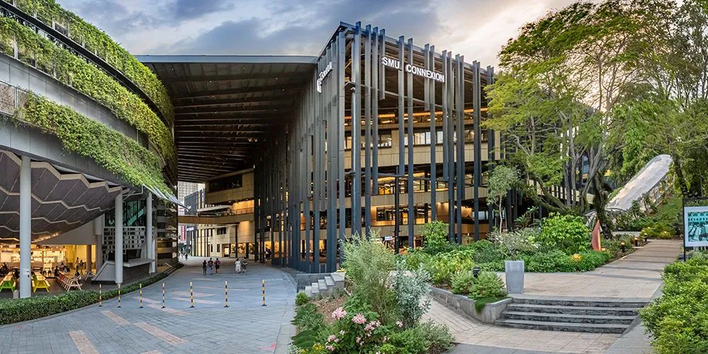 新加坡工作签证sp需要什么条件,新加坡工签申请条件有哪些