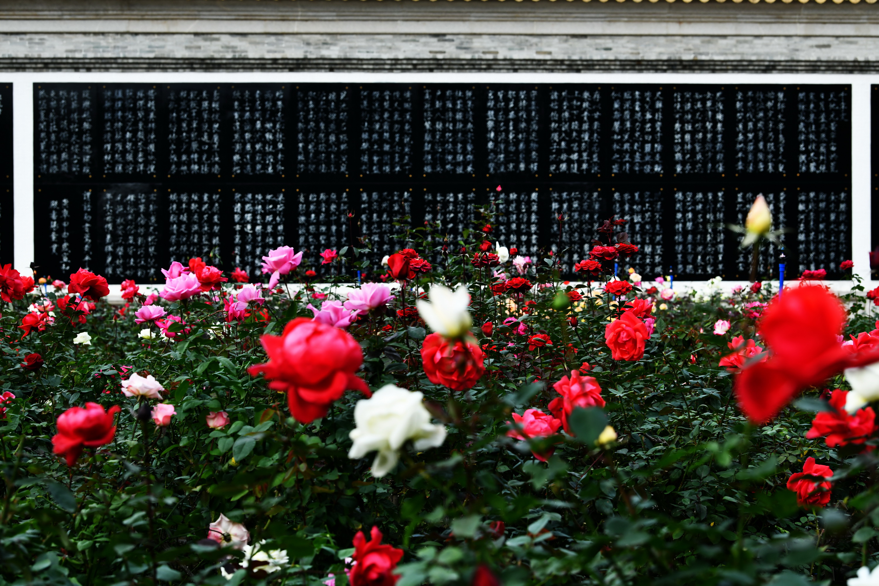广州市番禺区宝墨园攻略,广州宝墨园景观