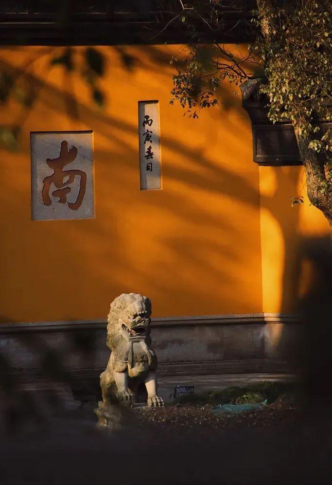 90后入职杭州灵隐寺,从灵隐寺回来辞职找不到工作了