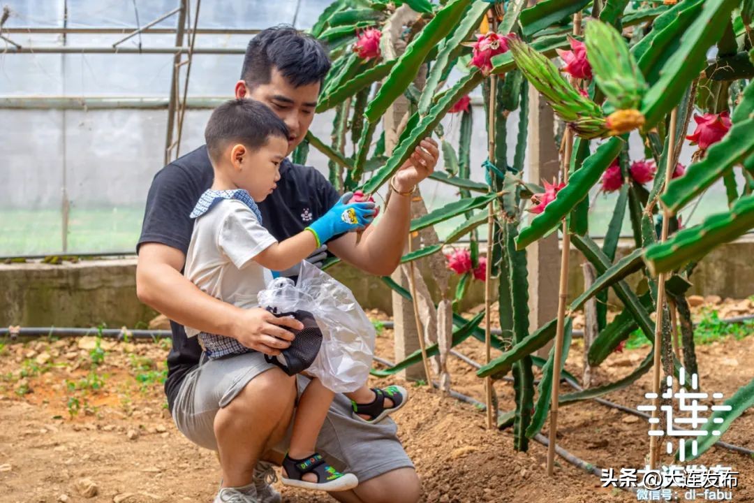 七天假期上哪玩儿,假期去哪儿玩这份攻略告诉你