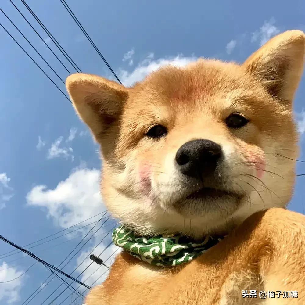 放假可以玩的几款爆火小游戏,值得期待的小游戏有哪些