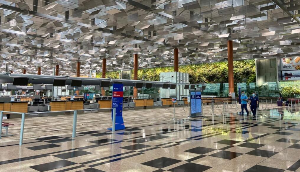 中国公民入境新加坡注意事项,新加坡入境国内流程最新