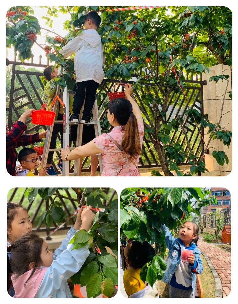 让生活之美徜徉幸福童年，来感受蒲江这两所幼儿园的课程魅力