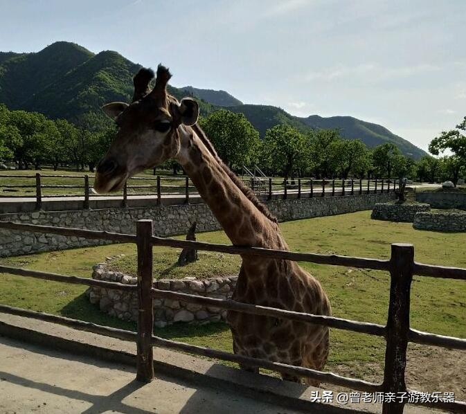 2023西安亲子游景区大全，30多个遛娃宝地，很多都免费